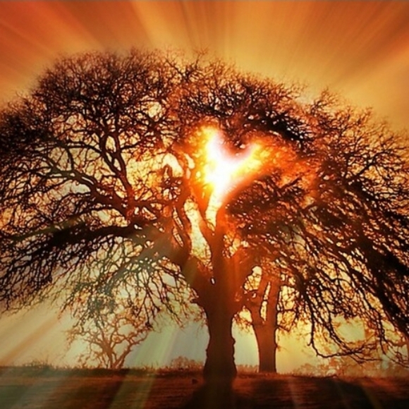 Meet your Posher, Jessica - Picture 12 of 14